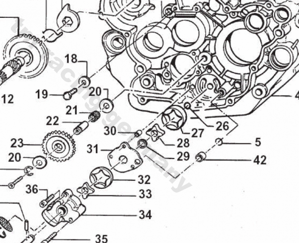 Zwischenrad Ölpumpe  Z 25 530-660cc, # F40834`