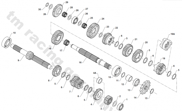 Zahnrad 6a Vel. Z19 A.S. # F40905